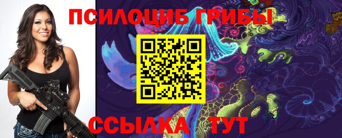 Псилоцибиновые грибы Psilocybine cubensis  Вход с VPN  Обнинск 