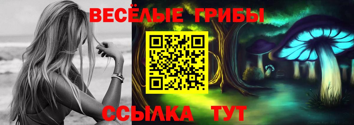 Галлюциногенные грибы Psilocybine cubensis Обнинск